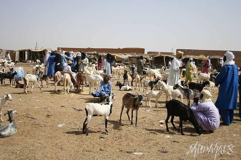Mud Maps Africa Agadez 3114